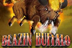 Blazin Buffalo Review 2024